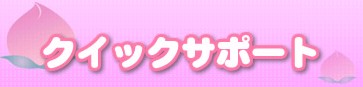 クイックサポート申込み