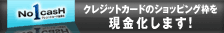 No1cash_apply